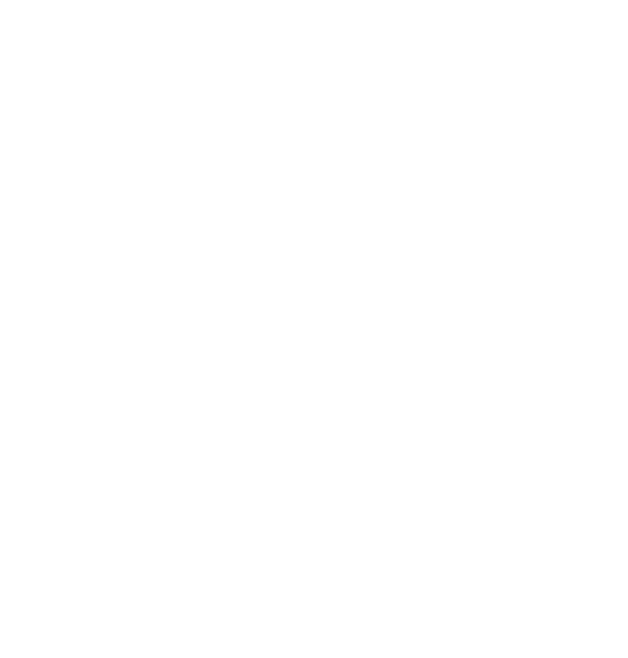 DIGIPOINT